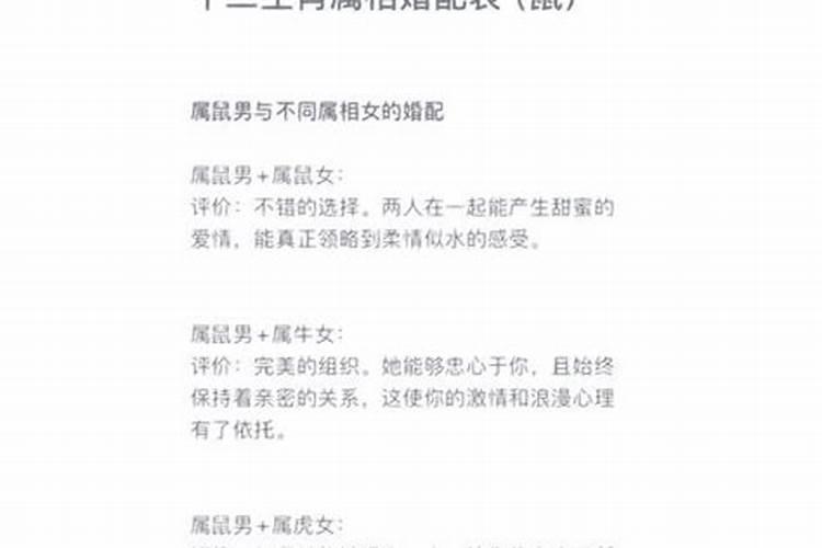 海中金和石榴木合婚吗？