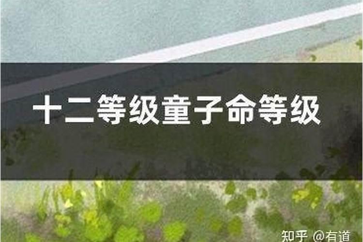 童子命的等级划分