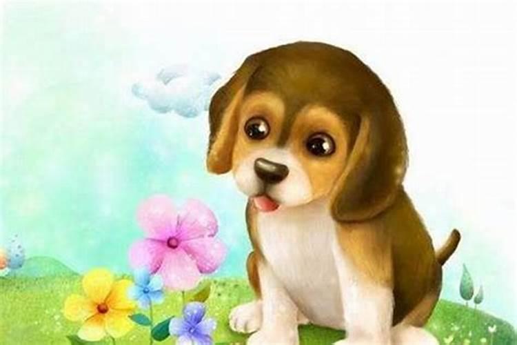 82属狗19的运程怎么样？