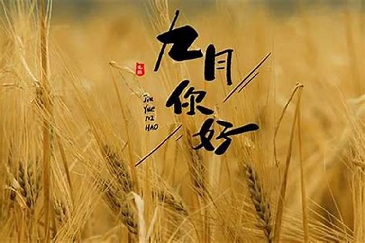 83年九月初九的命运如何？