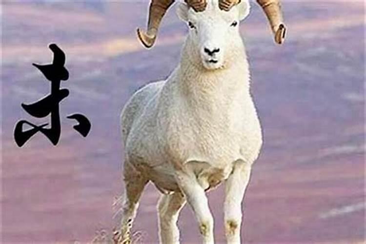 属羊的11月份运势如何？