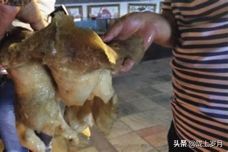 太岁头上动土的太岁是什么东西？