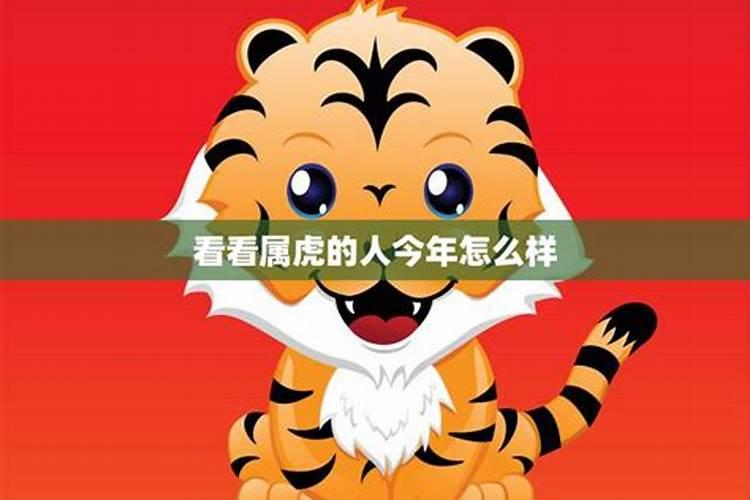 虎年2026下半年运势