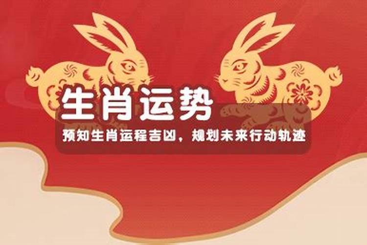 2026年哪个属相运势最好？