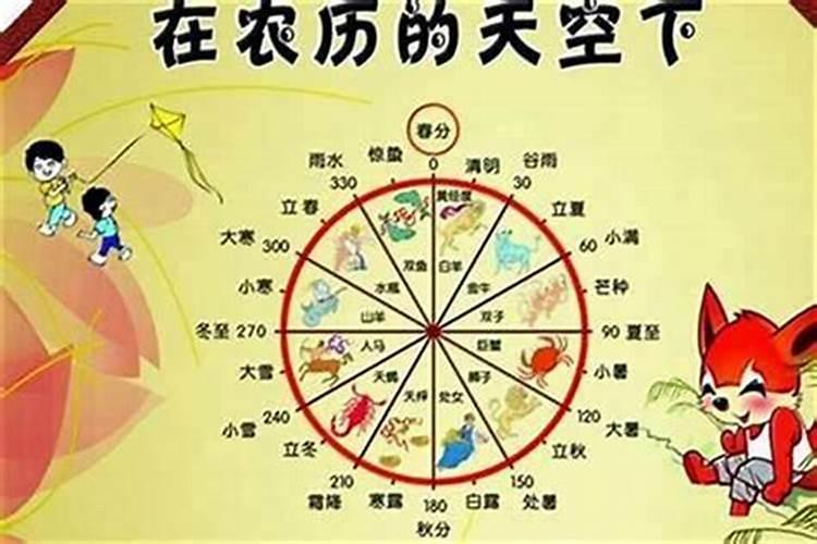 85年出生人的运程