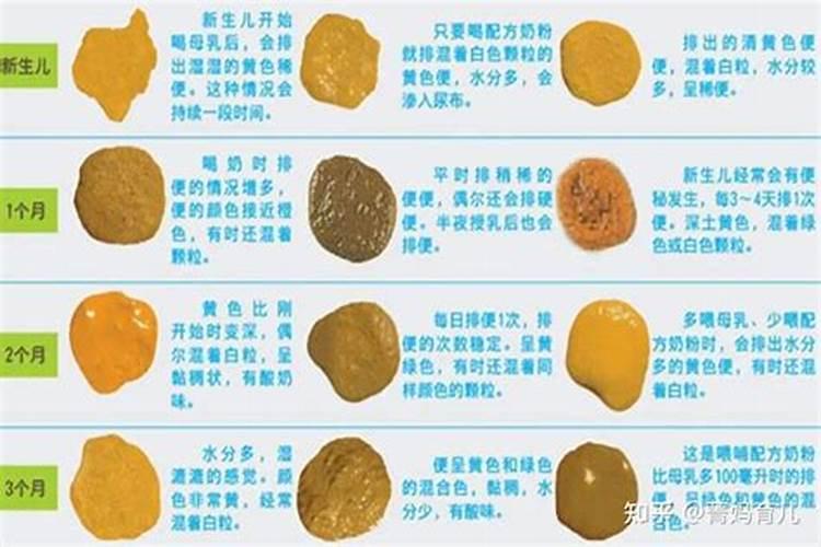 梦见宝宝拉黄色便便