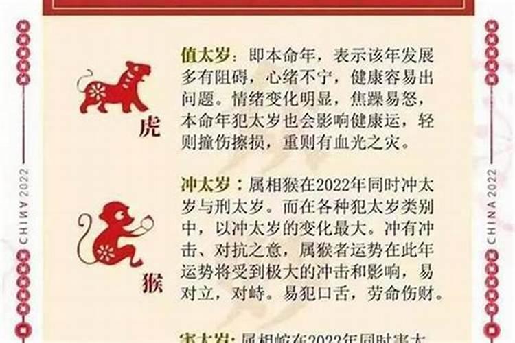 今年犯小人的属相有哪几个？