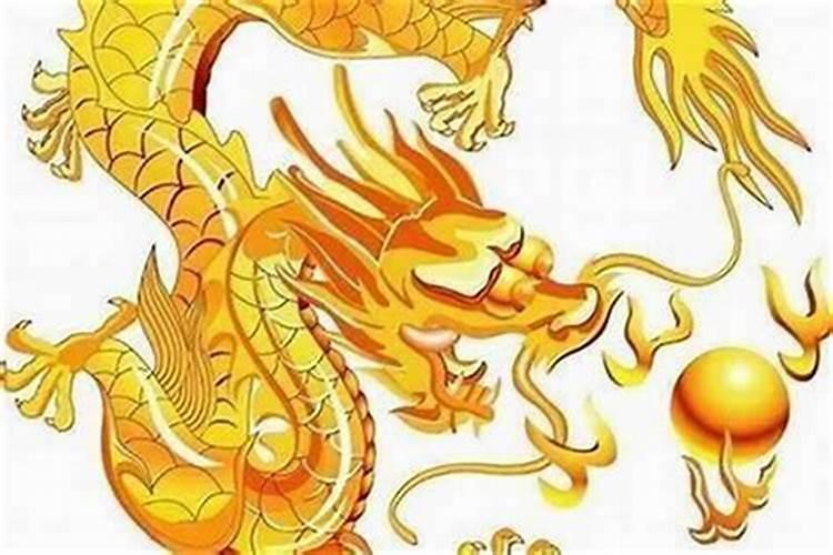 属龙和属什么合婚？