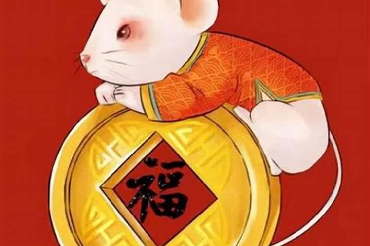 鼠人下半年运势好不