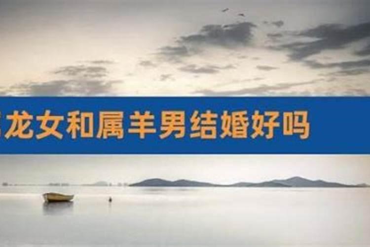 女属龙男属羊八字合吗？