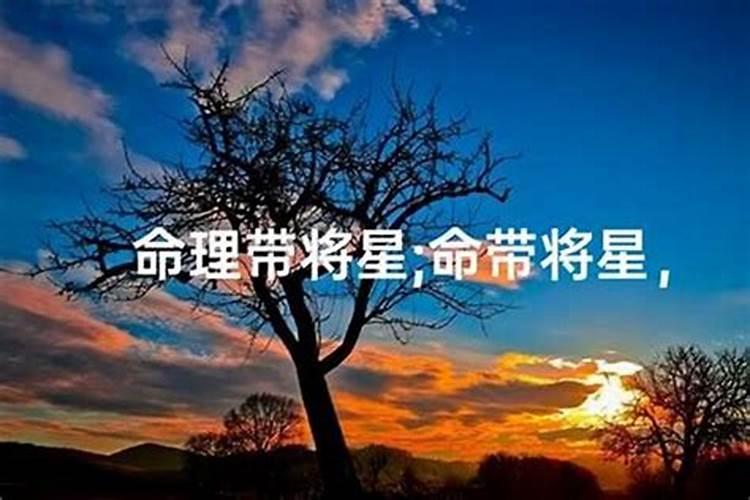 文昌星好还是将星好？