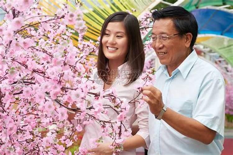 清明樱花祭父亲跟女儿