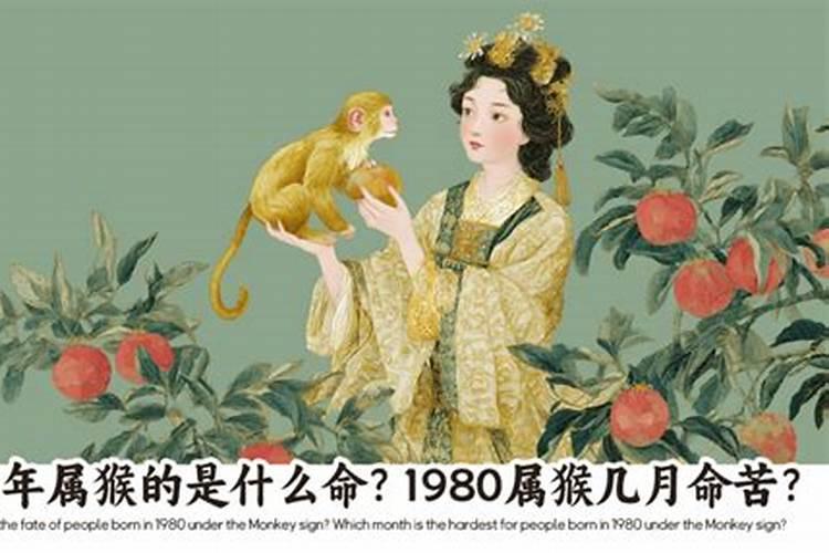 1980的猴是什么命？