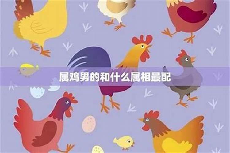 属鸡男到底跟属鸡女合婚吗？