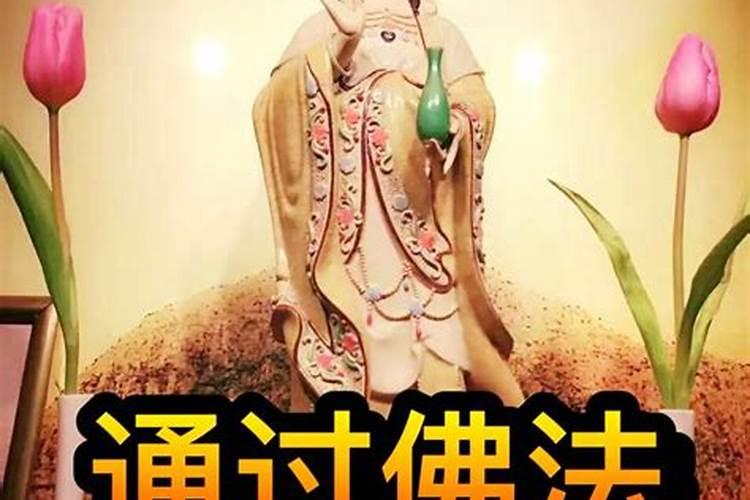佛弟子今天犯太岁该怎么办啊？