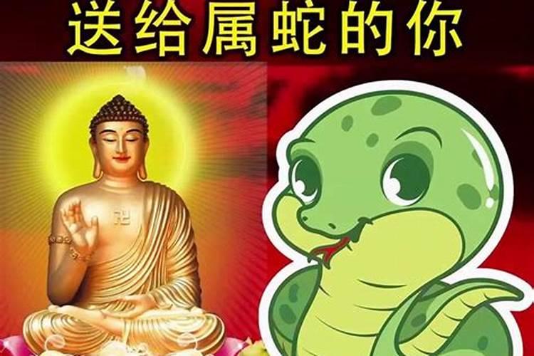 77年属蛇人今年运势