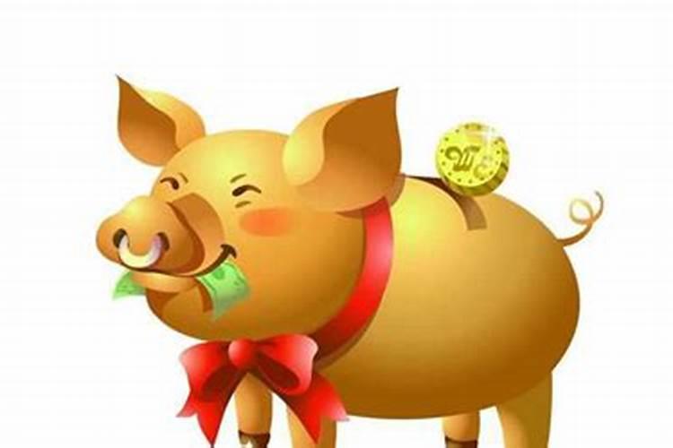 属猪本命年运势怎么样？
