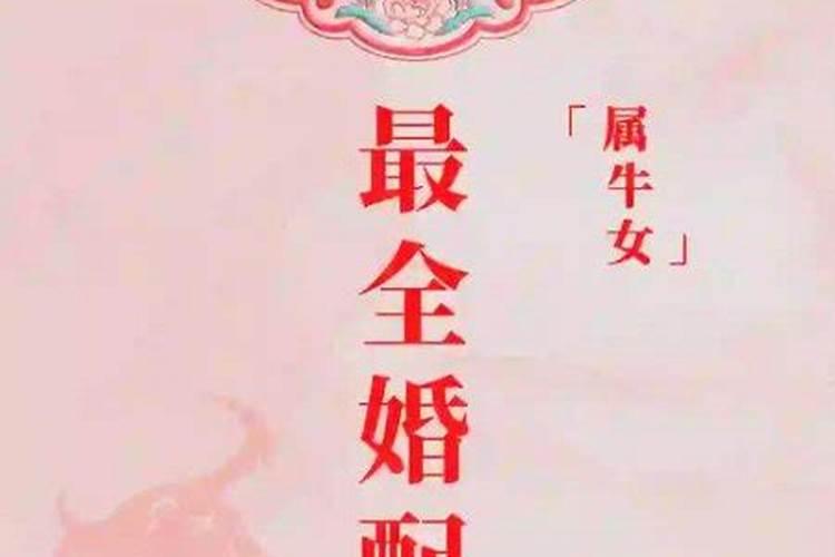 属牛女人的婚姻不顺