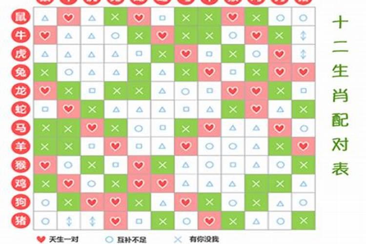 生肖配对真的有那么重要吗？