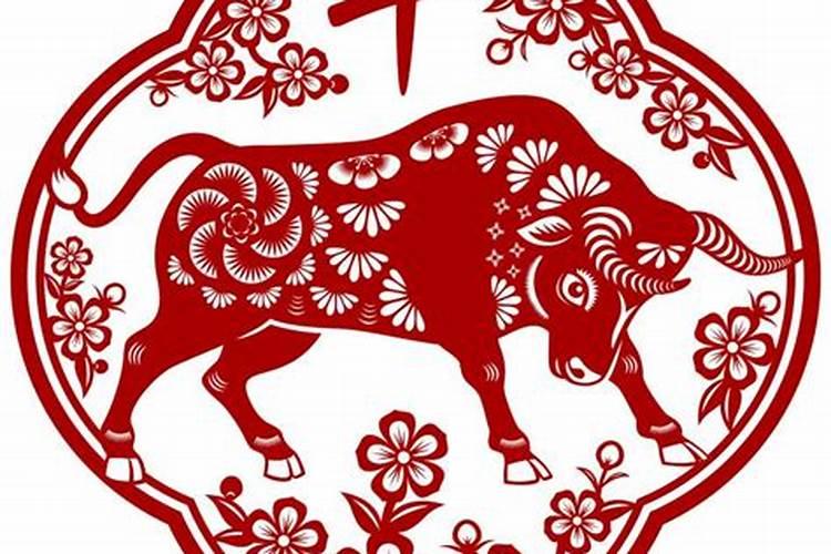 生肖属牛的人今年运势如何破解？