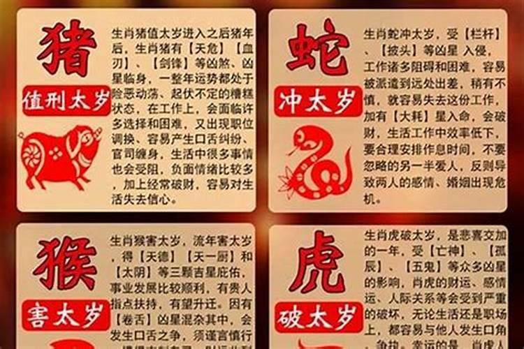 属兔的哪年是犯太岁？