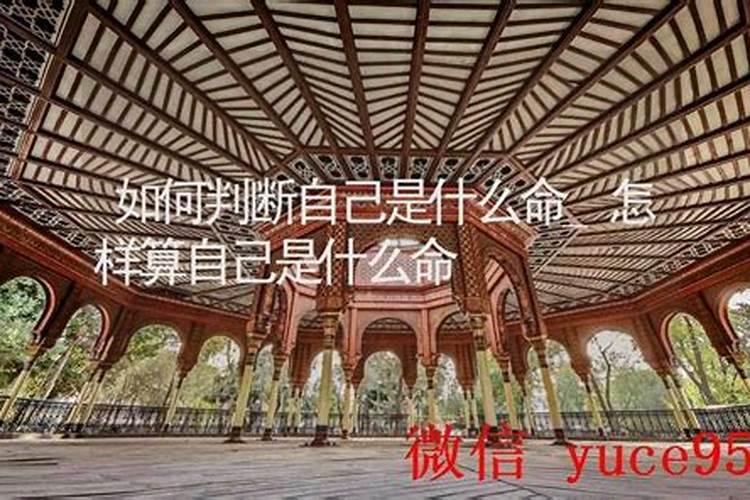 怎样算自己是什么命？