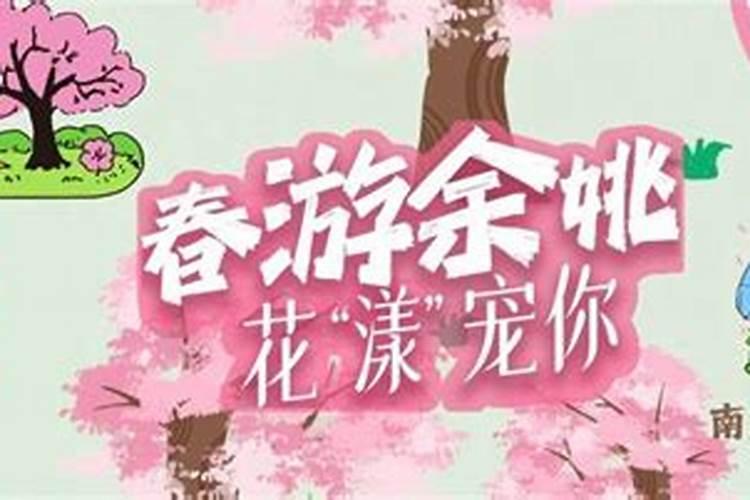 夏至流岚樱花祭