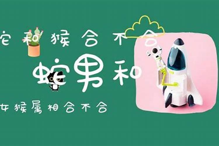 蛇和猴八字不合