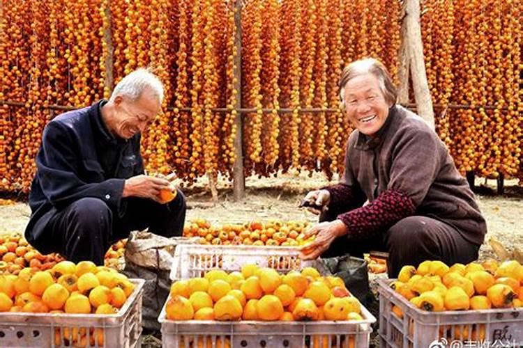 今年秋分是第几个丰收节？
