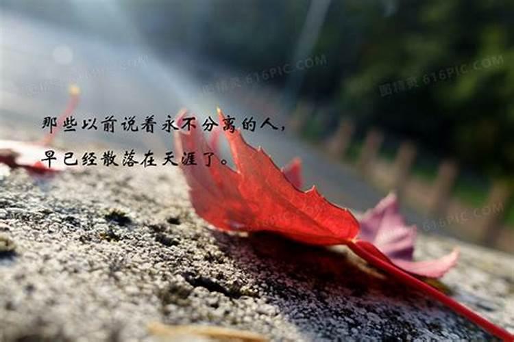 婚姻不顺说说伤感的句子