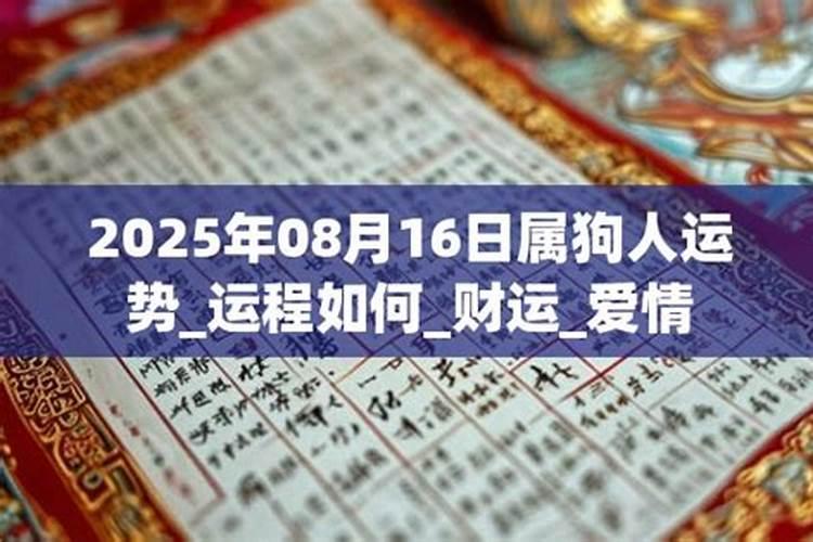 2026年属狗人8月运程如何？