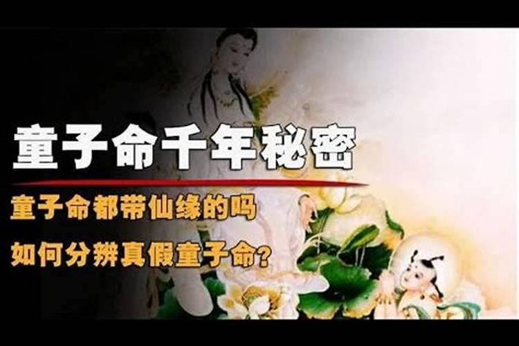 如何分辨真假童子命？