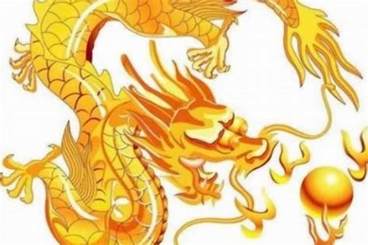 龙女的2026年运势