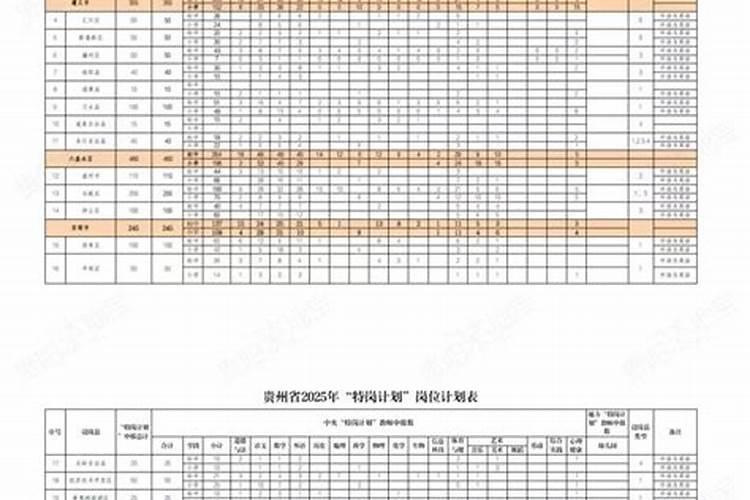 2026年运程特岗招聘职位表