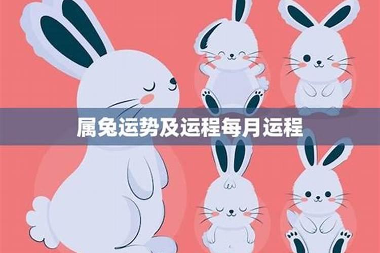 属兔年出生月份运势及运程