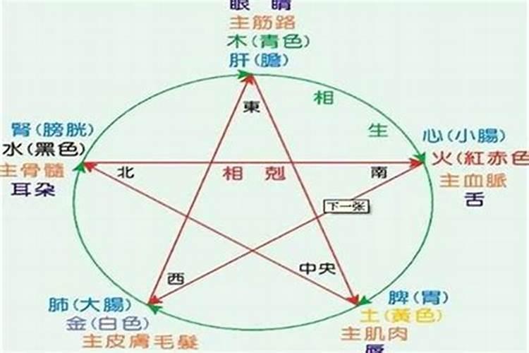 生肖合婚还是五行合婚准确？
