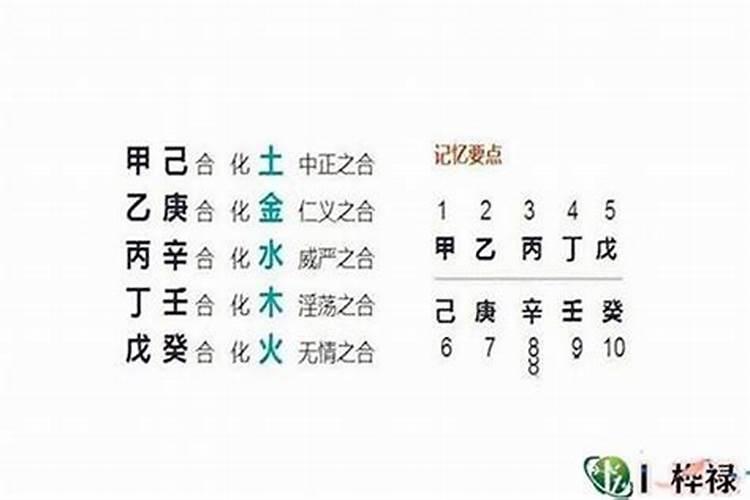 八字争合争拱的象是争夫吗？