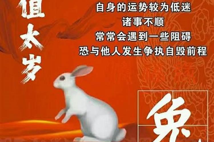 犯太岁属猪老婆属兔