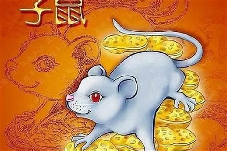 六零出生属鼠人的运势