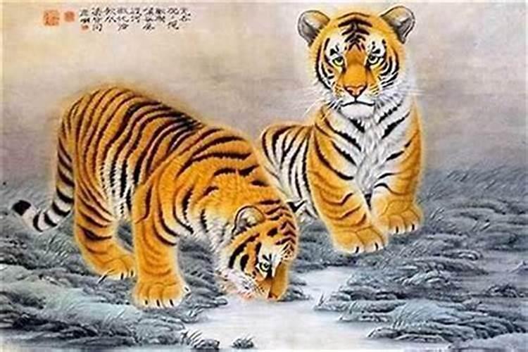 属虎今年八月运势