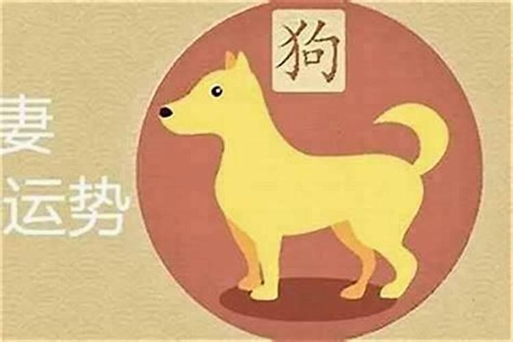 属狗的婚配什么属相相宜？