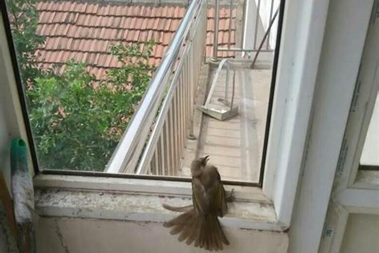 梦见死很多人是什么意思周公解梦？