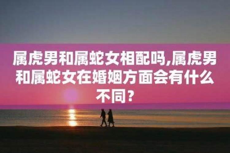 男蛇和女虎合婚吗？