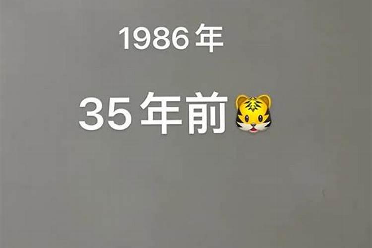 1986年出生的男性运势如何？
