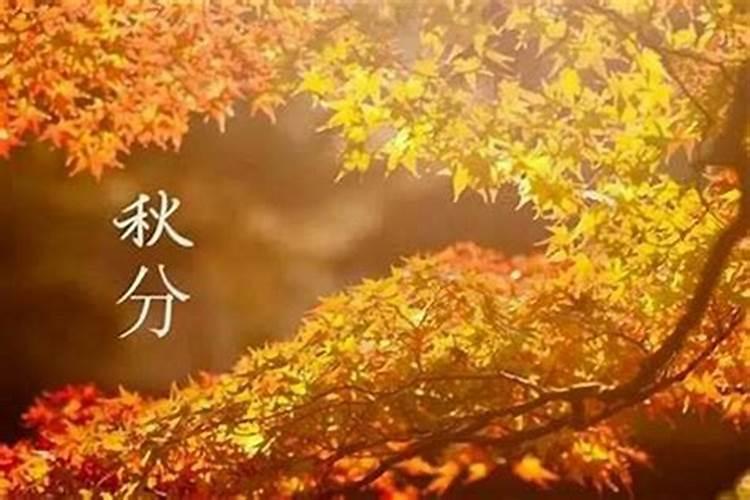 秋分是阳历的哪一天？