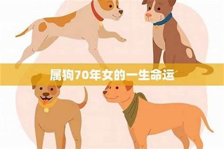 狗女的2026年运势