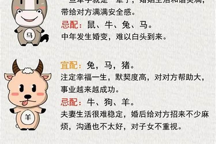 生肖鸡和猪合婚吗？