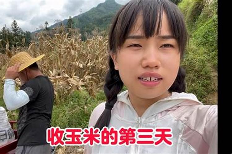 梦见娘家收了很多玉米？