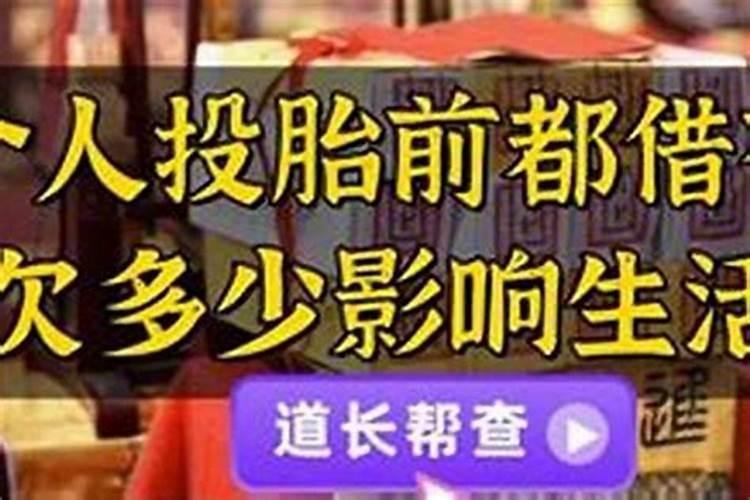 属马戊午欠多阴债？