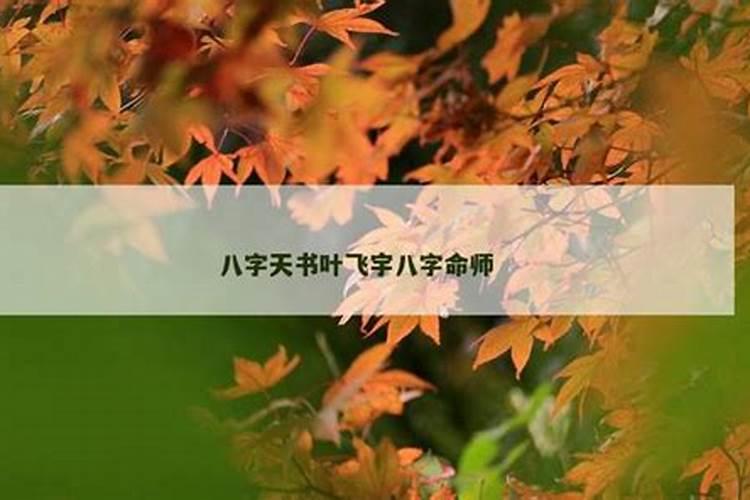 八字命理师叶飞宇